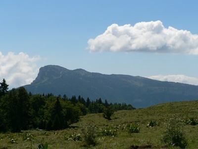 Le Moucherotte vu de la plaine de la Molire, Vercors, Isre, France